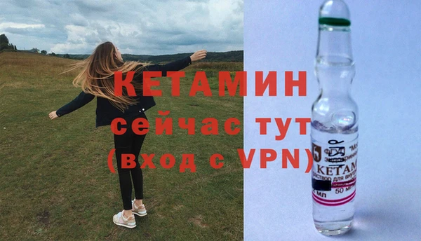 индика Пересвет