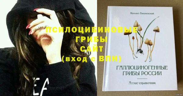 индика Пересвет