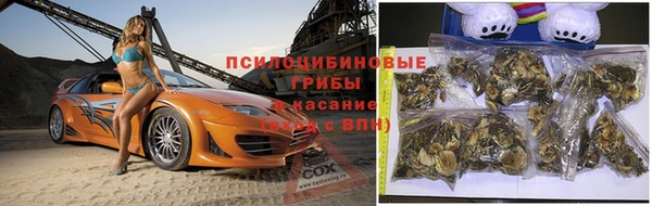 марки lsd Алексеевка
